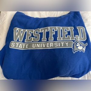 ❤️Westfield State University Hoodie with WSU detailing on hood, Size XS